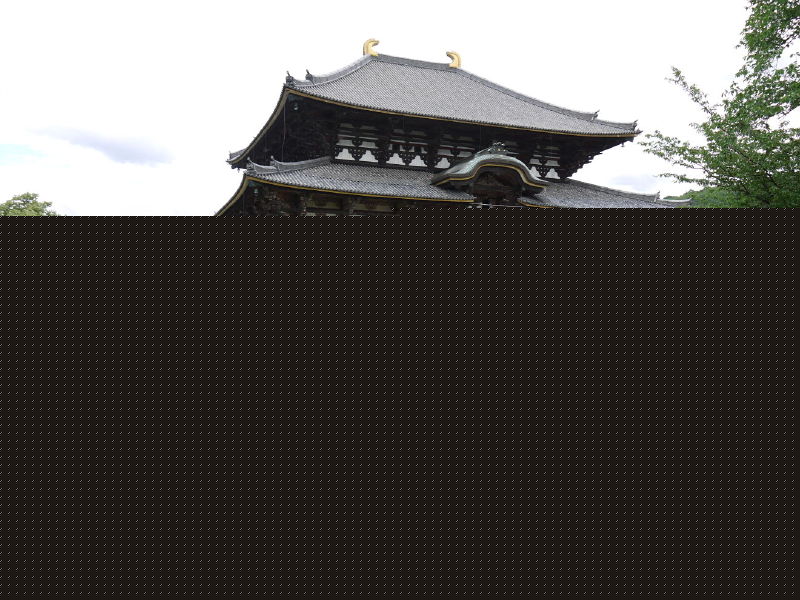 p1000126em.jpg