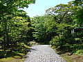 dsc04518em.jpg