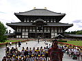 p1000129em.jpg