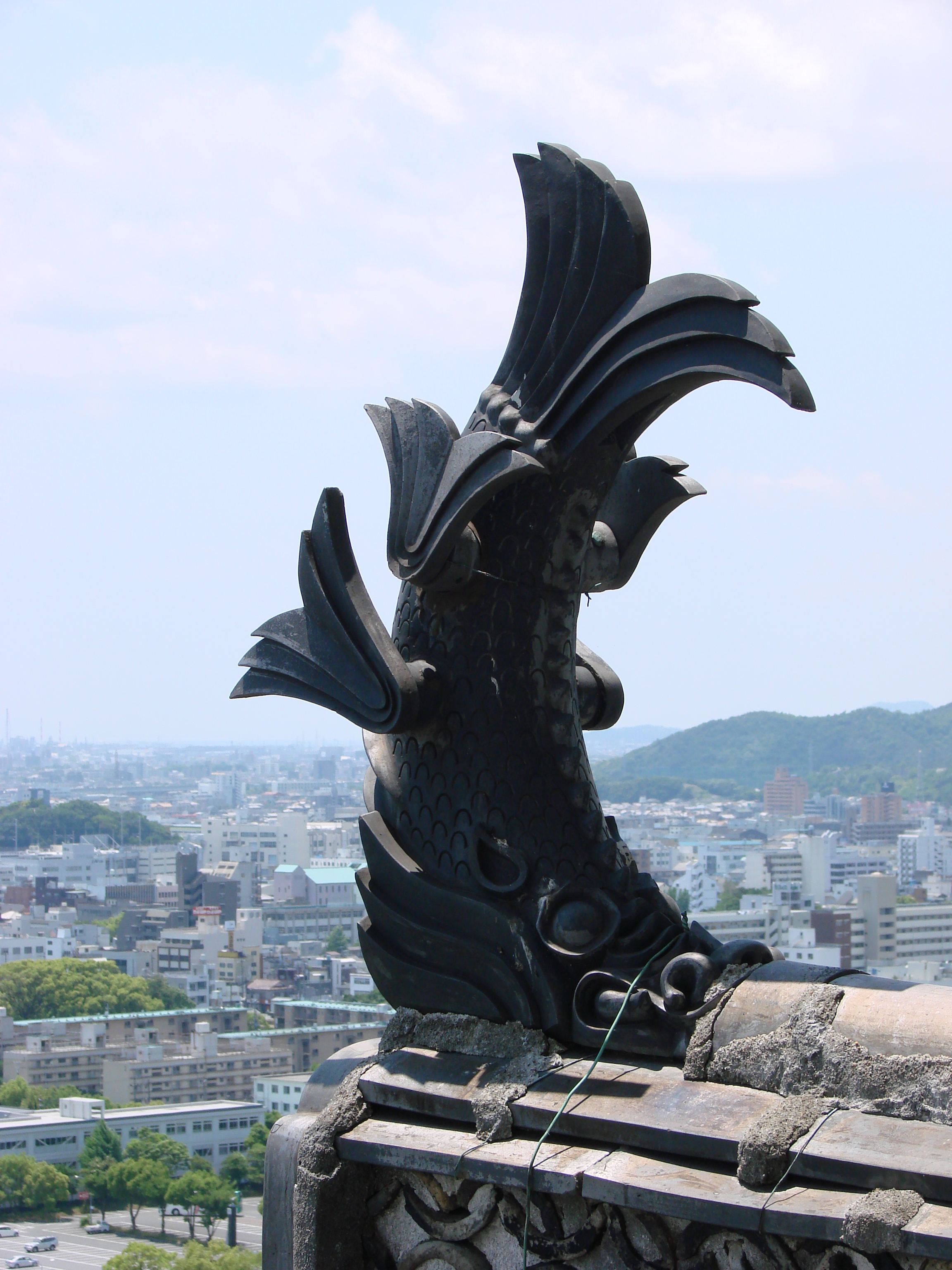 dsc04498.jpg