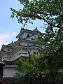dsc04472.jpg