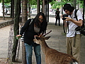 dsc04691.jpg