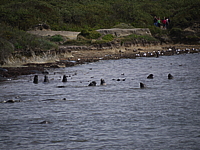 805p1030921.jpg