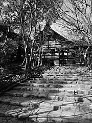 p1010223.jpg