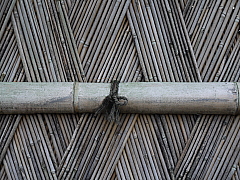 p1020026.jpg