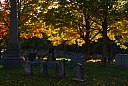 dsc05715.jpg