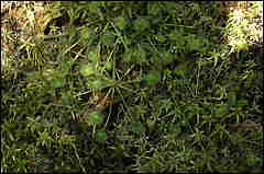 dsc01660.jpg