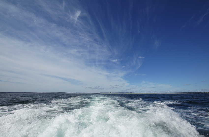 whale07212012-dsc00765.jpg